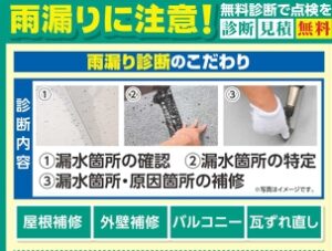 5･6月最新チラシ
