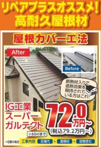 5･6月最新チラシ