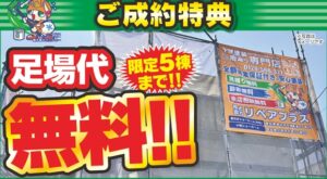5･6月最新チラシ