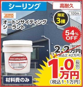 11月最新チラシ 春日井市 小牧市