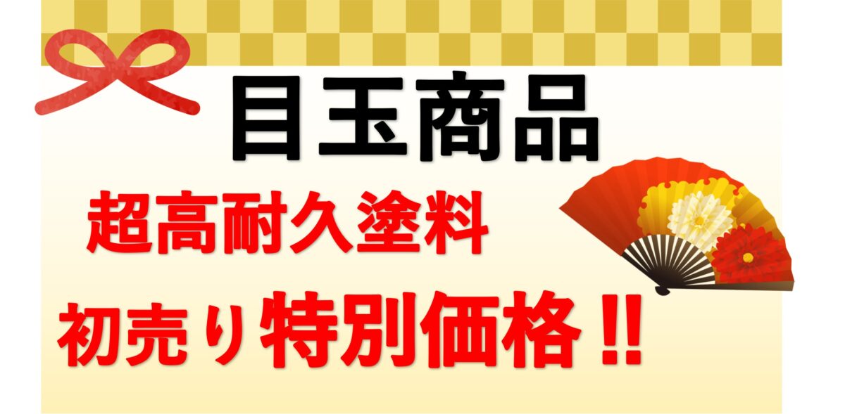 1月最新チラシ 目玉商品