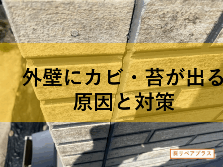外壁にカビ・苔が出る原因と対策|春日井市・小牧市で長持ちする外壁を保つポイント