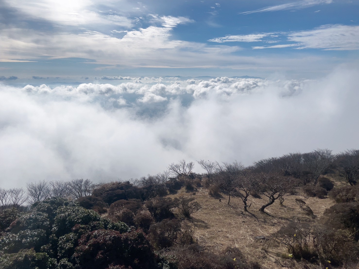 春日井市 外壁塗装