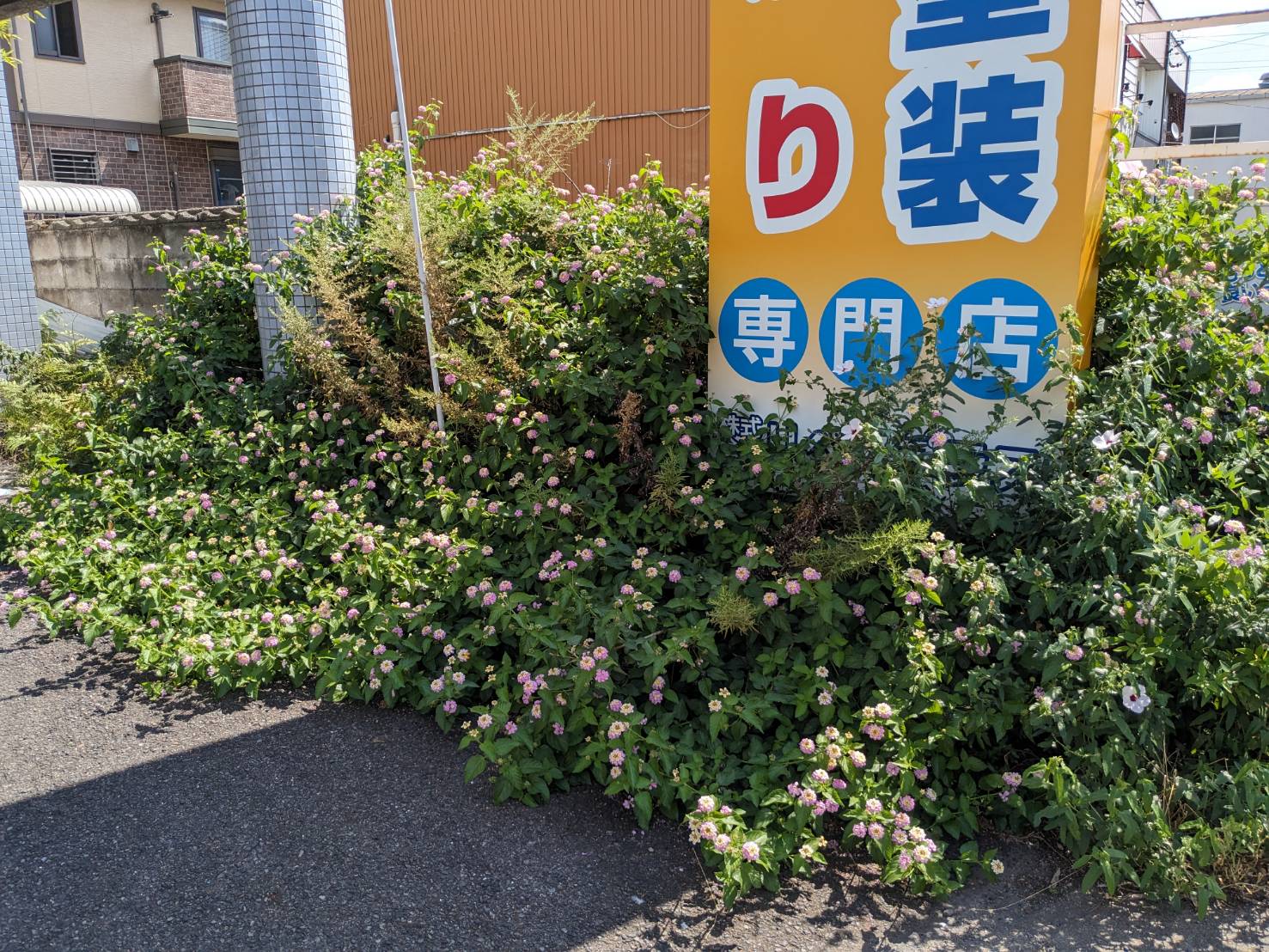 春日井市　外壁塗装